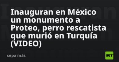 Inauguran en México un monumento a Proteo, perro rescatista que murió en Turquía (VIDEO)