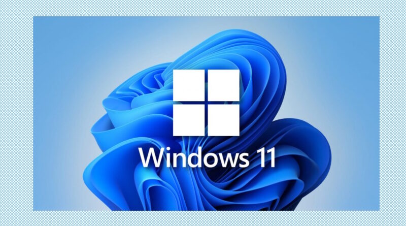 Windows 11 KB5030310