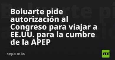 Boluarte pide autorización al Congreso para viajar a EE.UU. para la cumbre de la APEP