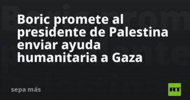 Boric promete al presidente de Palestina enviar ayuda humanitaria a Gaza