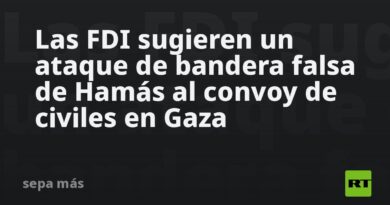Las FDI sugieren un ataque de bandera falsa de Hamás al convoy de civiles en Gaza