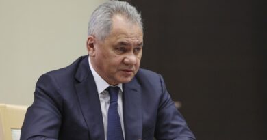 Ministro de Defensa ruso: Crece el número de países "que no quieren verse arrastrados a la agenda de confrontación" de Occidente