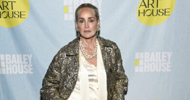 Sharon Stone revela que sufre convulsiones si duerme menos de ocho horas