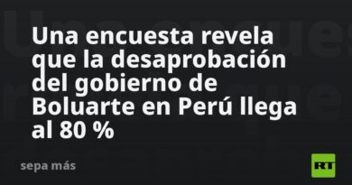 Una encuesta revela que la desaprobación del gobierno de Boluarte en Perú llega al 80 %