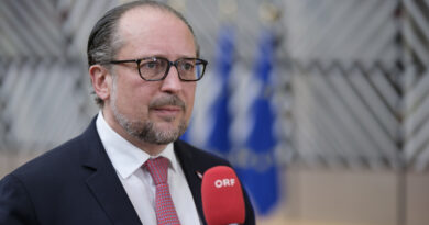 El problema de la inmigración "puede derrocar gobiernos", afirma el ministro de Exteriores austríaco