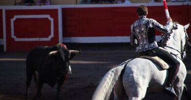 El Supremo de México revoca la suspensión de las corridas de toros en la principal plaza del país