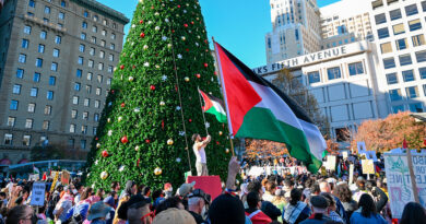 VIDEOS: Un manifestante propalestino trepa a un árbol de Navidad de 25 metros en San Francisco