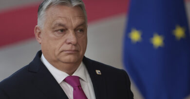 Europarlamentario lanza una "petición histórica" para privar a Hungría de su derecho de voto