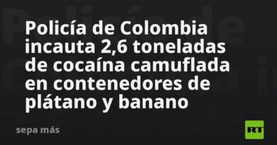 Policía de Colombia incauta 2,6 toneladas de cocaína camuflada en contenedores de plátano y banano