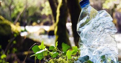 Treseus - ¡Entérate! Plásticos biodegradables; Qué son ¡Tipos y ventajas! - FOTO