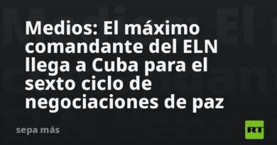 Medios: El máximo comandante del ELN llega a Cuba para el sexto ciclo de negociaciones de paz