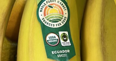Sector bananero de Ecuador: "No hay mercado que pueda absorber 1,4 millones de cajas semanales que demanda Rusia"