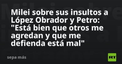 Milei sobre sus insultos a López Obrador y Petro: "Está bien que otros me agredan y que me defienda está mal"