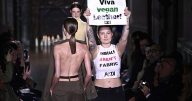 VIDEO: Defensores de los animales interrumpen el desfile de Victoria Beckham en París