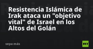 Resistencia Islámica de Irak ataca un "objetivo vital" de Israel en los Altos del Golán