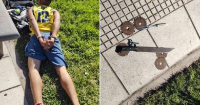 "Soy Dios y voy a matar al presidente": hombre intenta irrumpir en la Casa Rosada con un machete