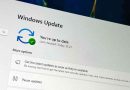 Pausar actualizaciones en Windows Update