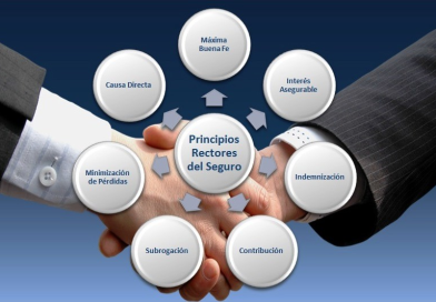 Los 7 principios del seguro por Hjalmar Gibelli